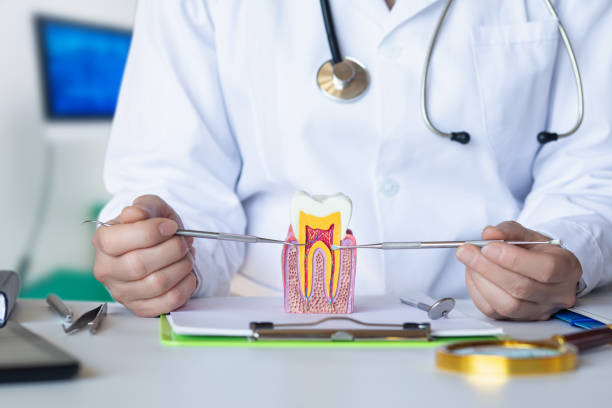 Best Knocked-Out Tooth Emergency  in Flower Hill, NY